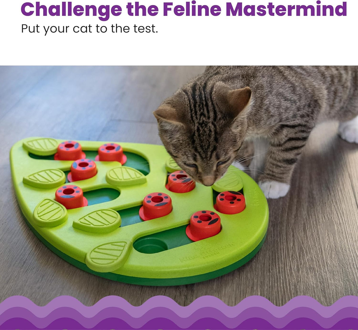 Nina Ottosson Buggin’ Out Puzzle & Play Cat Toy Treat Puzzle, 14"