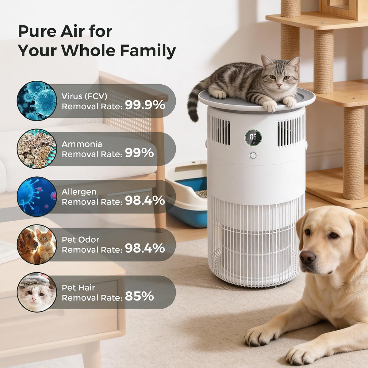 Air Purifier for Home Pets Bedroom Dorm Room Covers up to 1290 Sq.Ft