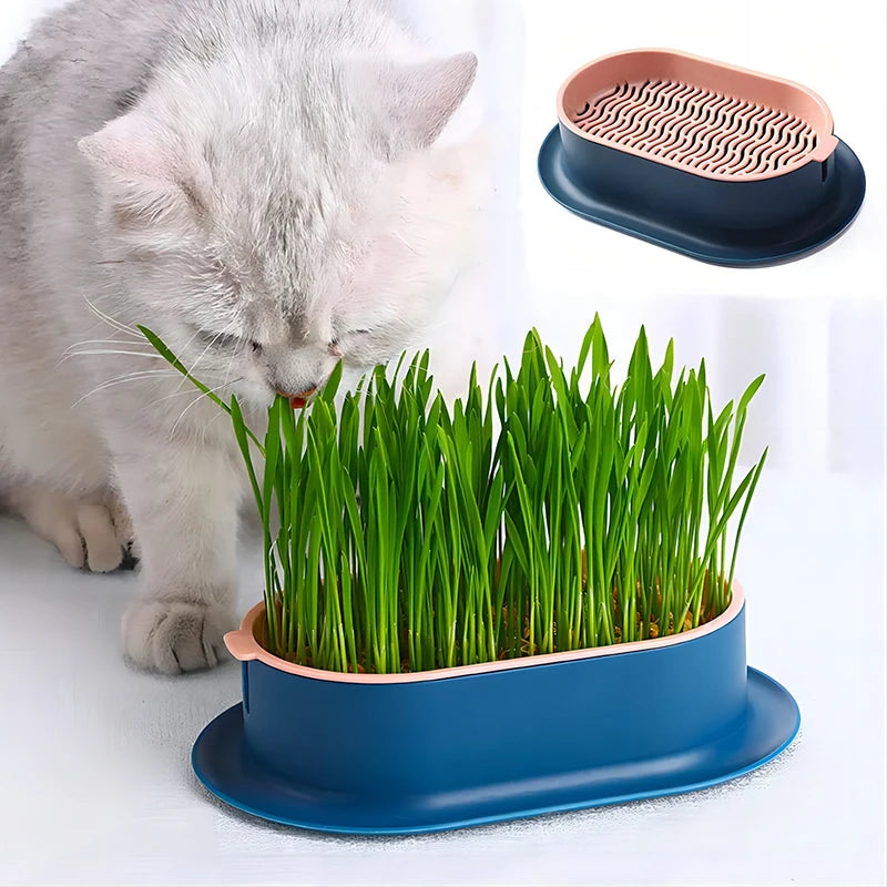 Pet Cat Sprout Dish Growing Pot Hydroponic Plant Cat Pot Grass Box Germination Nursery Starter Dish Greenhouse Grow Box