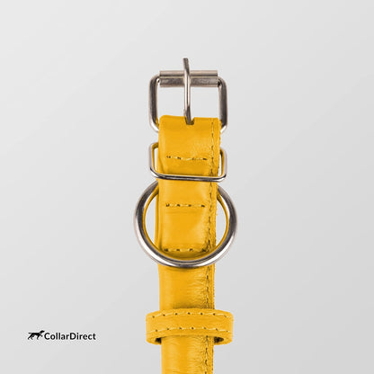 Tangle-Free Rolled Leather Dog Collar, 6-7 In, Yellow Textured