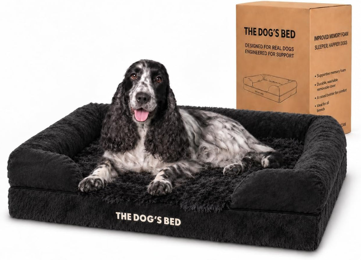 The Dog’S Bed Orthopedic Memory Foam Dog Bed with Bolsters for Medium Dogs