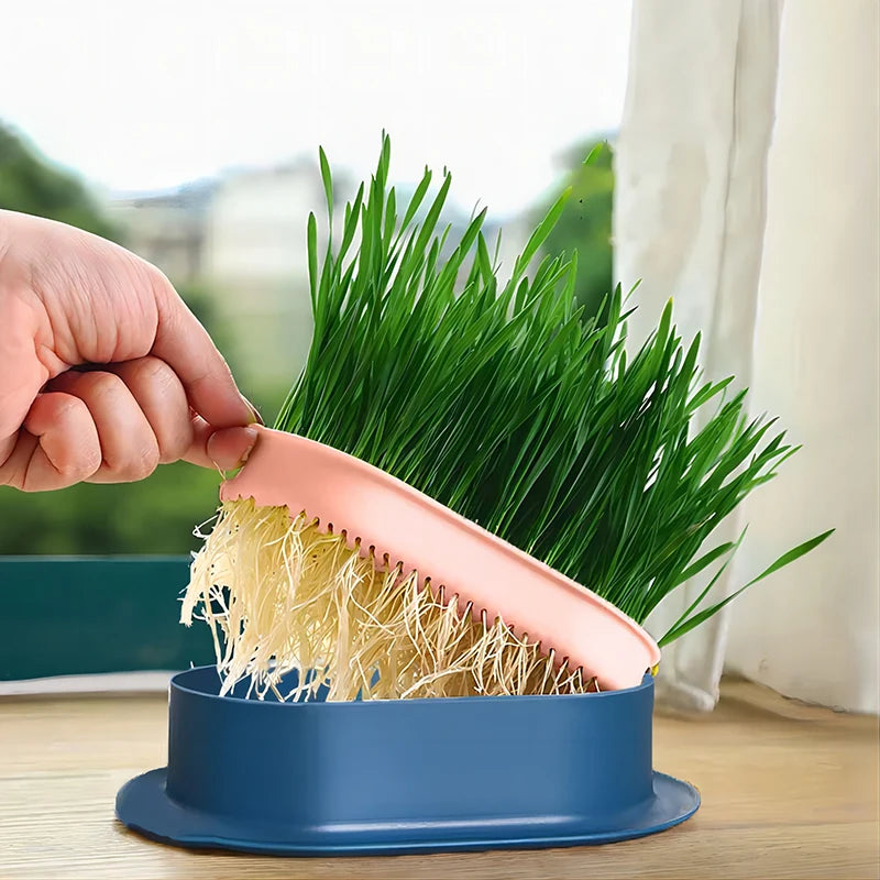 Pet Cat Sprout Dish Growing Pot Hydroponic Plant Cat Pot Grass Box Germination Nursery Starter Dish Greenhouse Grow Box