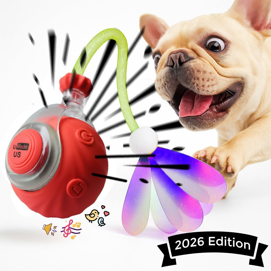 Automatic Rolling Ball for Cats – Rechargeable Smart Interactive Toy, Durable