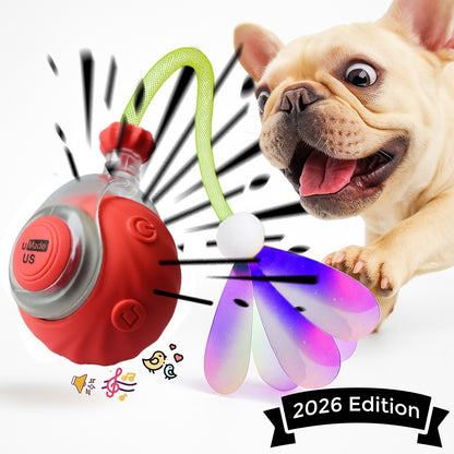 Automatic Rolling Ball for Cats – Rechargeable Smart Interactive Toy, Durable