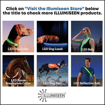 LED Dog Collar USB Rechargeable - Bright & High Visibility Lighted Glow Collar for Pet Night Walking - Weatherproof, in 6 Colors & 6 Sizes (Green Large)