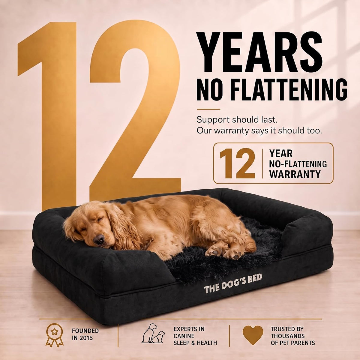 The Dog’S Bed Orthopedic Memory Foam Dog Bed with Bolsters for Medium Dogs