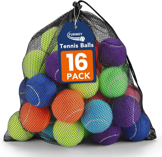 Colorful Tennis Balls for Dogs, 2.5 Inches, 16 Pack, Non Squeaky