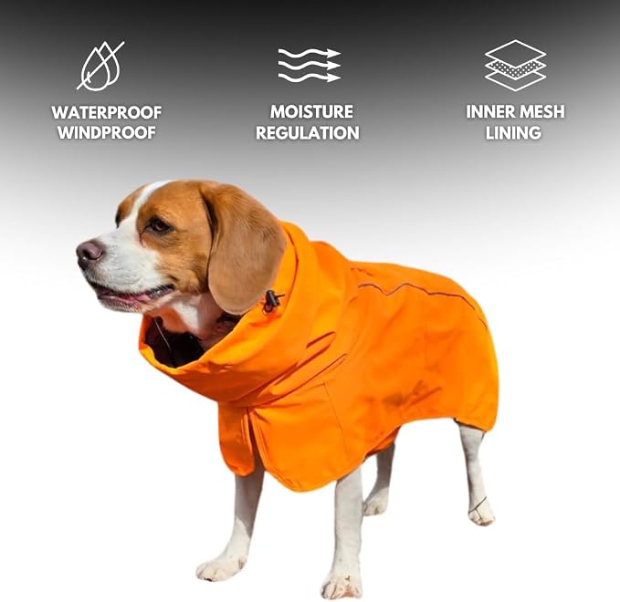 Waterproof Dog Raincoat with Hood