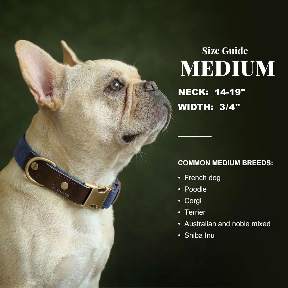 PU Leather Dog Collar for Medium Dogs, Soft Nylon Lining, Blue M