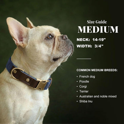 PU Leather Dog Collar for Medium Dogs, Soft Nylon Lining, Blue M