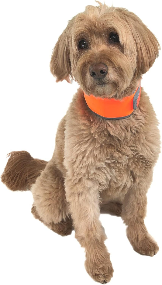 Hi-Vis Cooling Dog Collar for Medium Dogs – Reflective Re-Freezable Ice Collar for Hot Weather & Heat Relief (Orange, Medium)