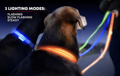 LED Dog Collar USB Rechargeable - Bright & High Visibility Lighted Glow Collar for Pet Night Walking - Weatherproof, in 6 Colors & 6 Sizes (Green Large)