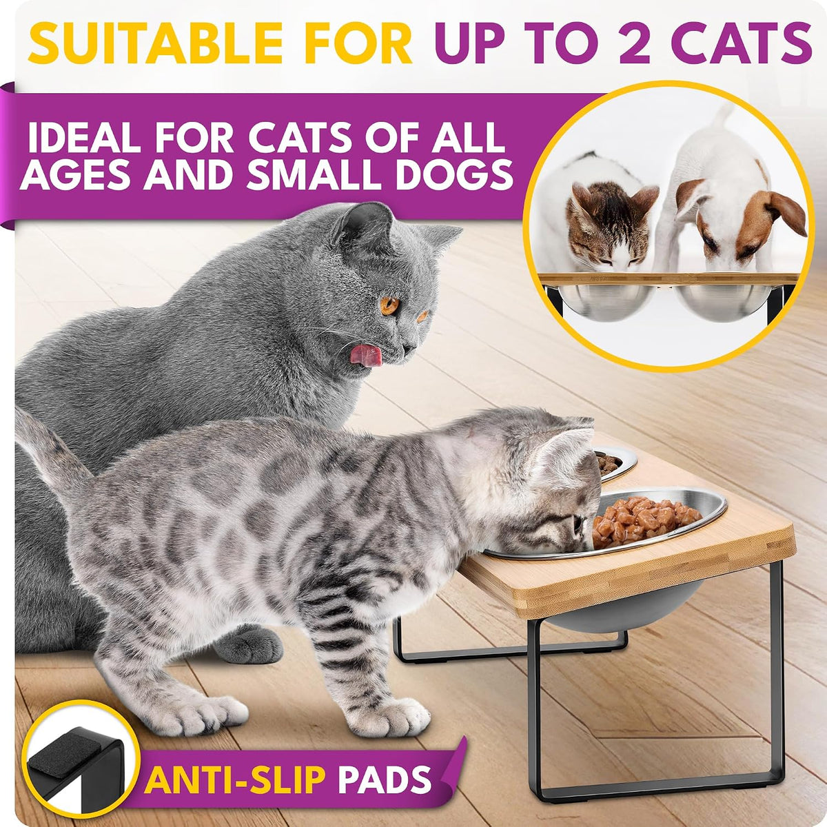 Raised Cat Bowls for Indoor Cats by , Elevated Cat Bowls, Tilted and Elevated anti Vomiting Cat Dishes for Food and Water, Set of 2 Stainless Steel Bowl