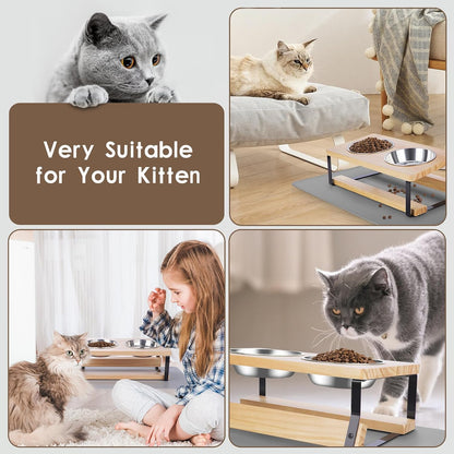 Elevated Cat Bowls with Food Mat, 15° Tilted anti Vomiting Raised Cat Feeder for Indoor Cats and Puppy, 2 Stainless Steel Bowls for Food and Water