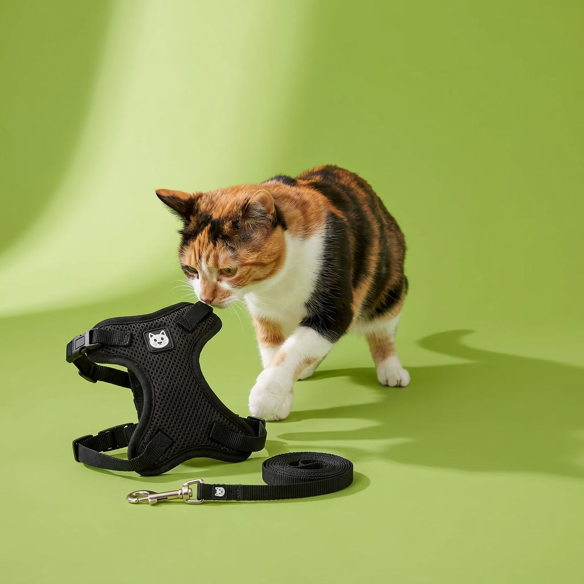 Adjustable Cat Harness and Leash Set, Black, One Size
