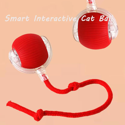 Chewie Ball, Chewie Viral Rolling Ball, Interactive Cat Ball Toy, Chewie Ball for Dogs, Chewie Smart Automatic Rolling Pet Ball, Automatic 360° Rotating Rolling Ball with USB Charging