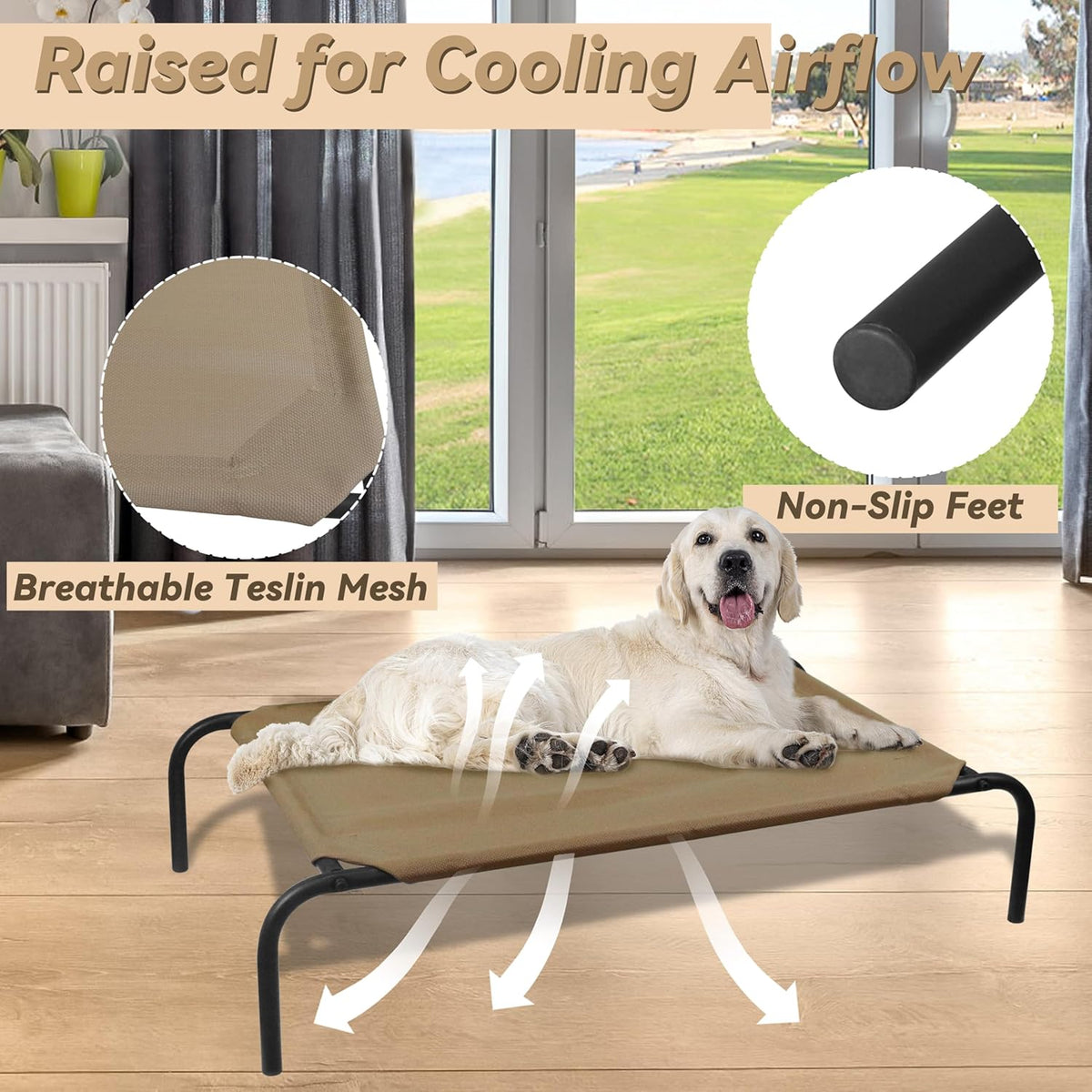 Elevated Dog Bed for Large Dogs