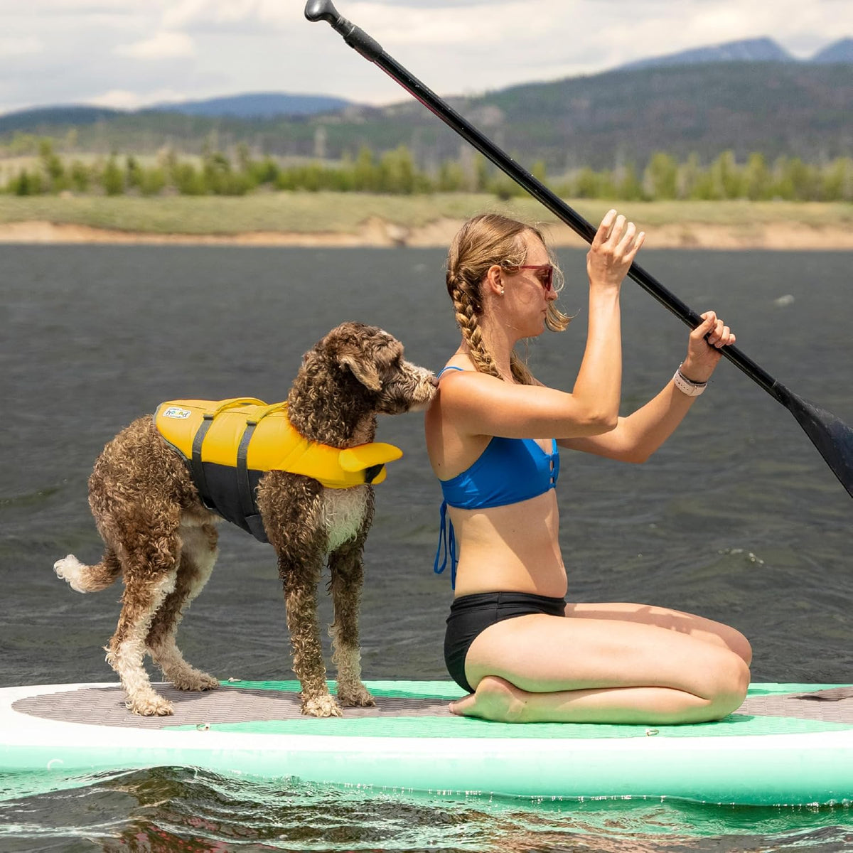 Granby Splash Dog Life Jacket, Life Vest, Yellow, Medium