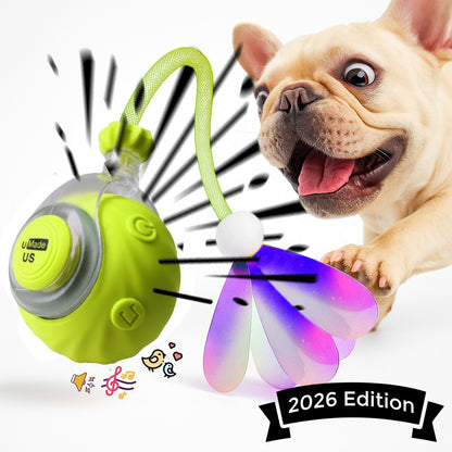 Automatic Rolling Ball for Cats – Rechargeable Smart Interactive Toy, Durable