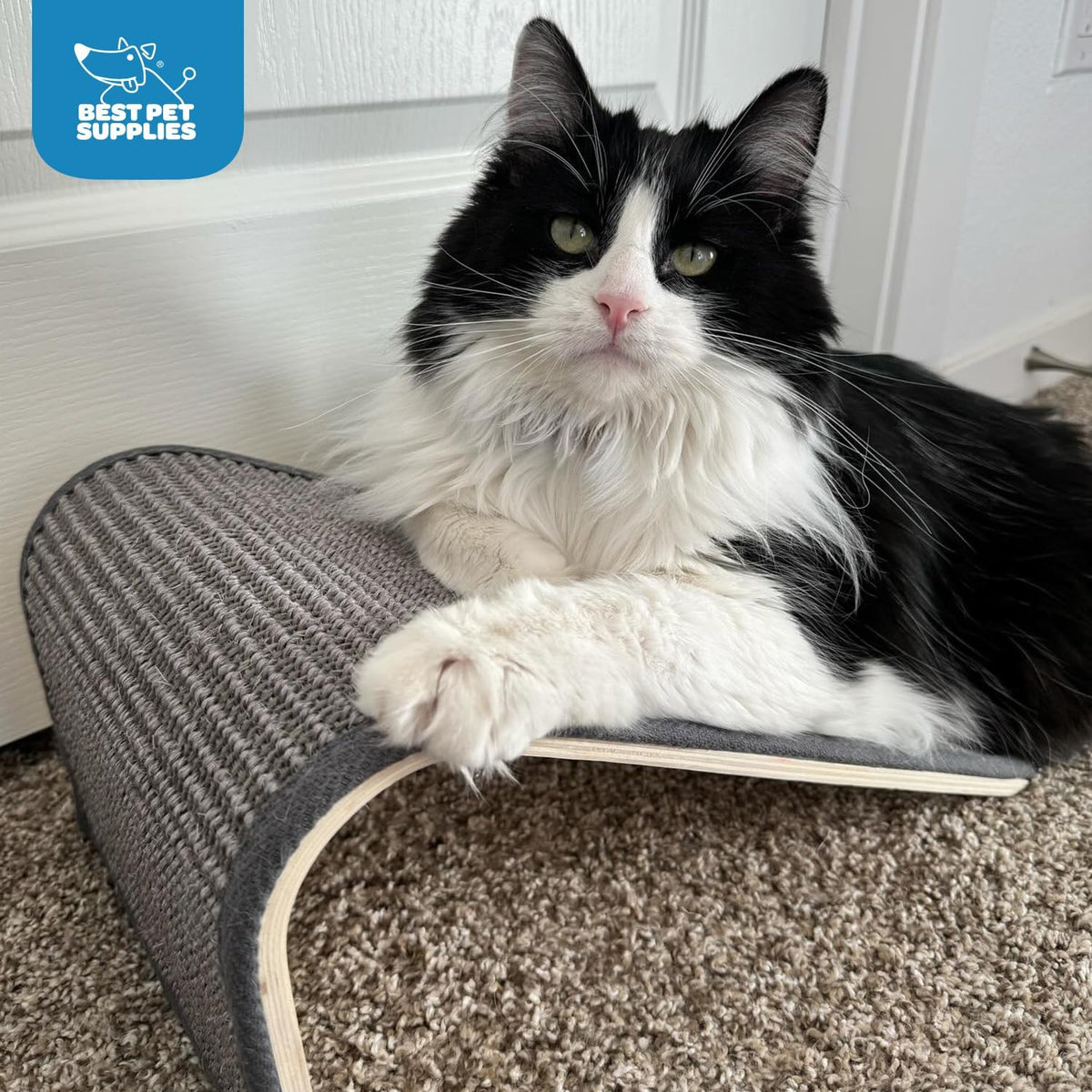 Catify Cat Scratching Ramp - Gray