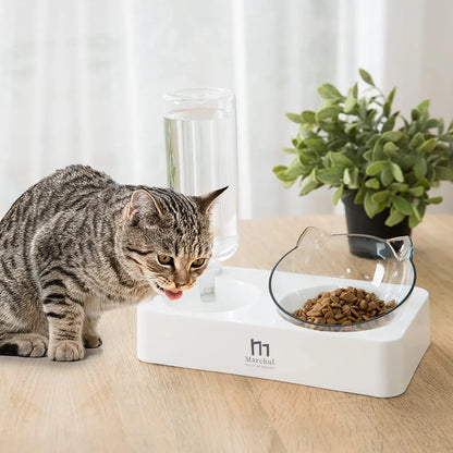 Tilted Raised Cat Food Bowl and Gravity Water Bottle, Elevated Cat Dish with Non-Slip Feeding Mat for Cats Kitten
