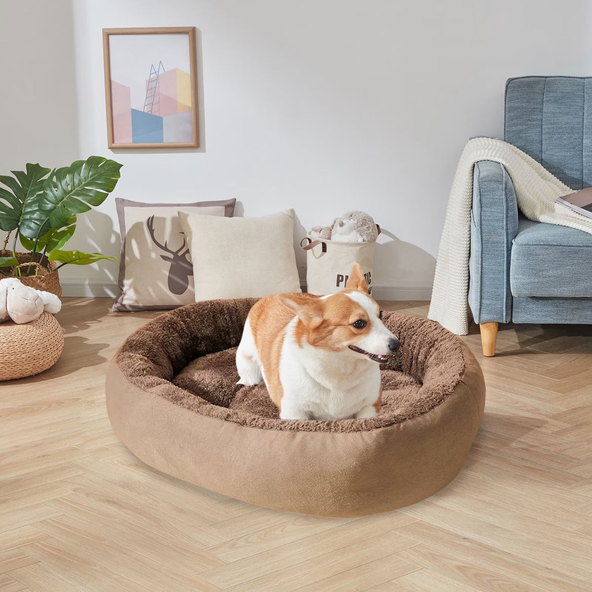 PALIFEUR Small Dog Bed for Puppy&Cat, Comfort Warmth Dog Bed, Thickened Soft Dog Beds with Cozy Sleeping, Washable Dog Bed Velvet Cover, Indoor, Gray(19.69"X15.75")