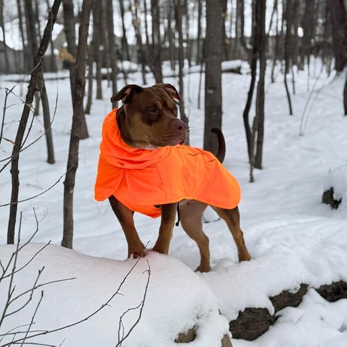 Waterproof Dog Raincoat with Hood
