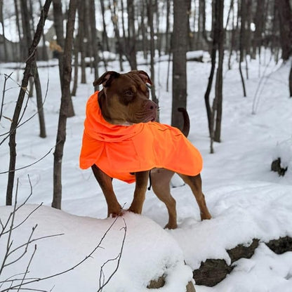 Waterproof Dog Raincoat with Hood