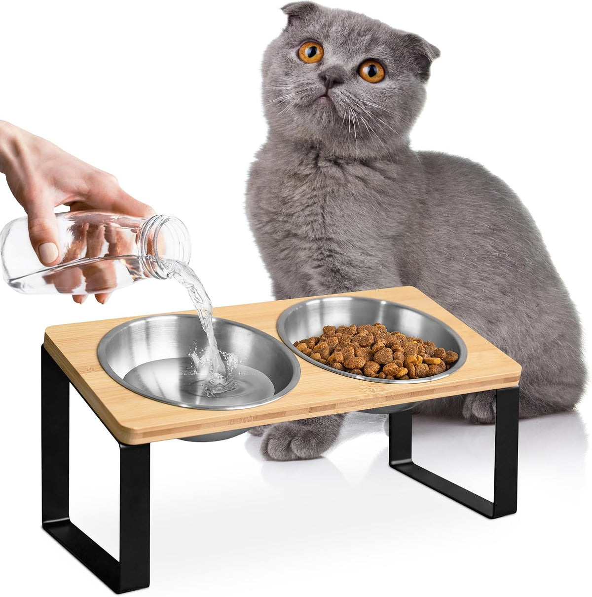 Raised Cat Bowls for Indoor Cats by , Elevated Cat Bowls, Tilted and Elevated anti Vomiting Cat Dishes for Food and Water, Set of 2 Stainless Steel Bowl