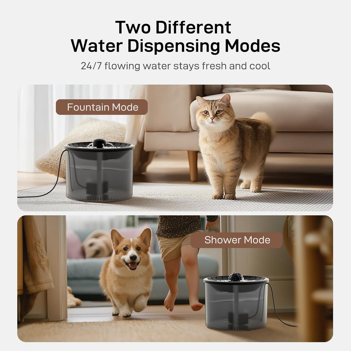 PET Automatic Cat Feeder and Water Fountain: 3L Timed Precise Cats Food Dispenser& Reliable Programming 1-6 Meals/Day- 3L Cat Water Dispenser with Filter- Auto Pet Feeder Easy to Clean