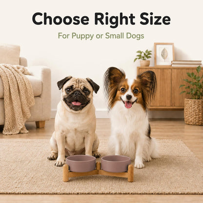 Ceramic Dog Bowls Elevated, Raised Dog Food Bowl for Puppies