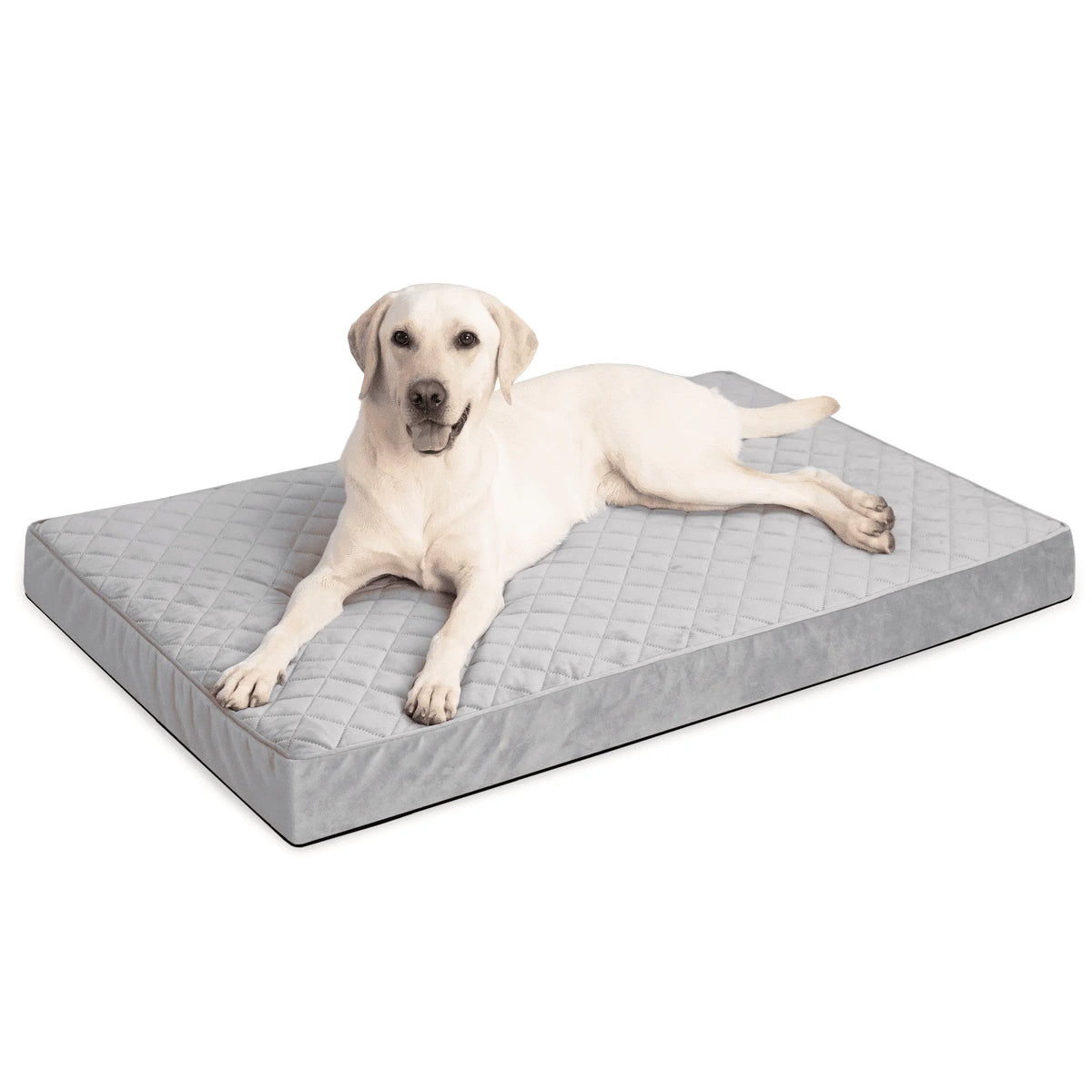 47" Waterproof Orthopedic Dog Bed for Xxlarge Dogs Orthopedic Dog Crate Bed with Removable Washable Cover