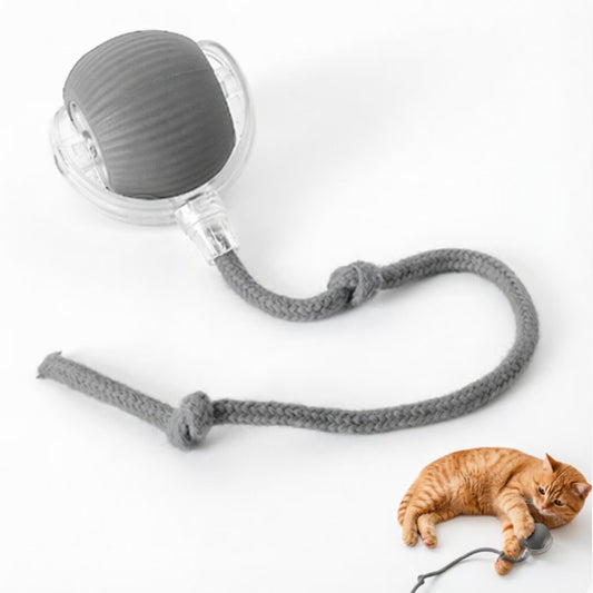 Chewie Ball, Chewie Viral Rolling Ball, Interactive Cat Ball Toy, Chewie Ball for Dogs, Chewie Smart Automatic Rolling Pet Ball, Automatic 360° Rotating Rolling Ball with USB Charging