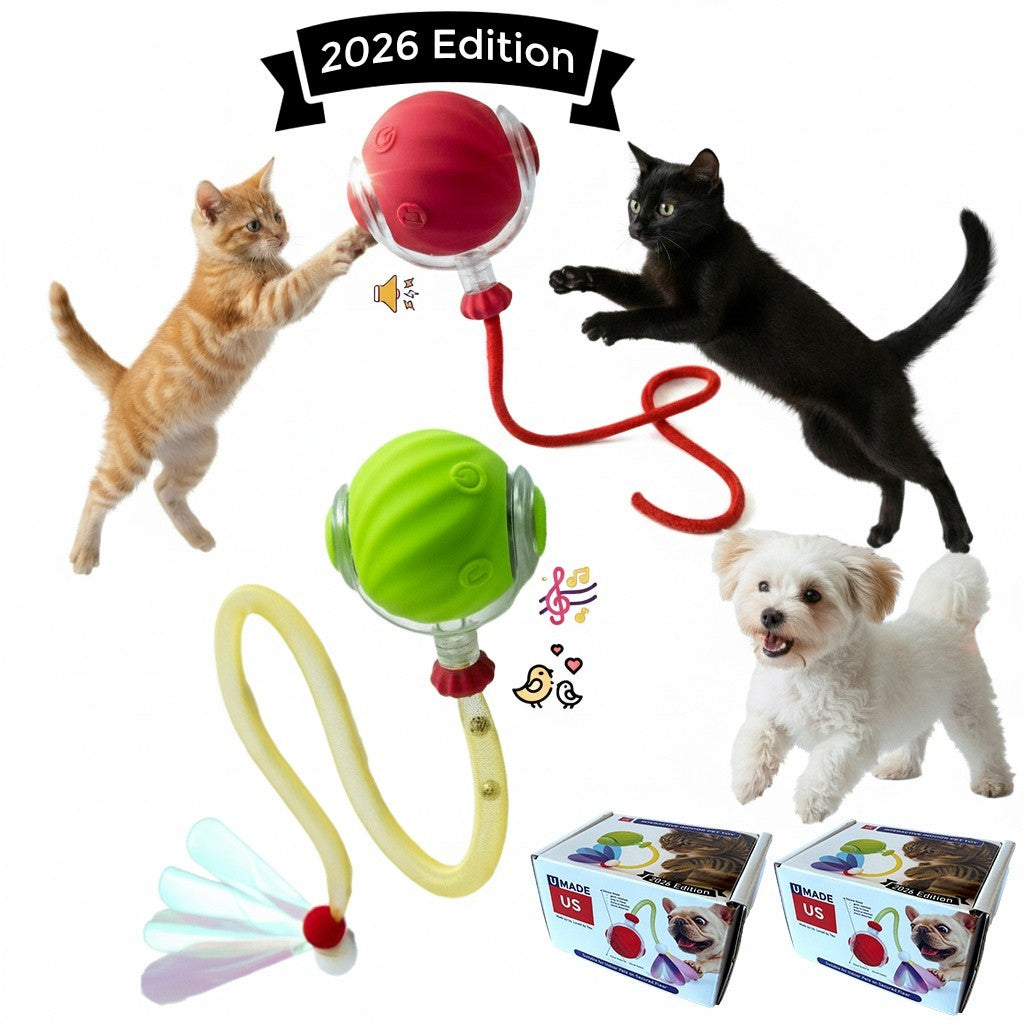 Automatic Rolling Ball for Cats – Rechargeable Smart Interactive Toy, Durable