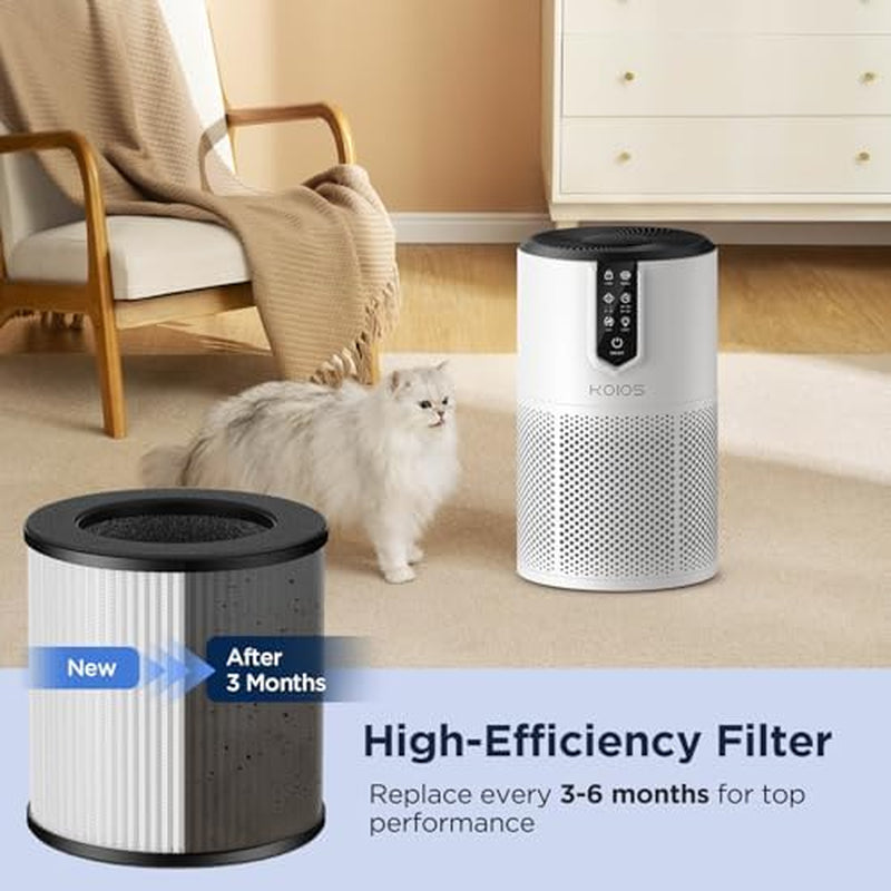 C150 Air Purifiers for Home&2 Pack Air Purifier Filter, Official Certified H13 True HEPA Replacement Filter