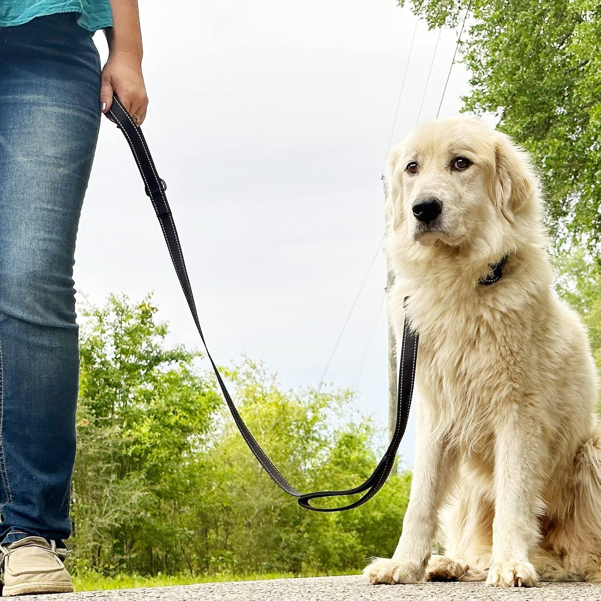 Dog Leash for Large Dogs That Pull, Double Handle, 6FT, Black
