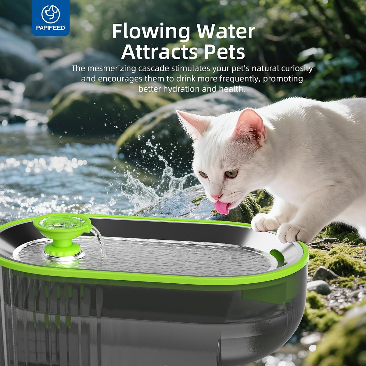 Cat Water Fountain Stainless Steel with a Silicone Mat, 84Oz/2.5L Automatic Pet Water Fountain with LED Water Level Window, Quiet Low Power Cat Water Bowl & Cat Water Dispenser (Green)