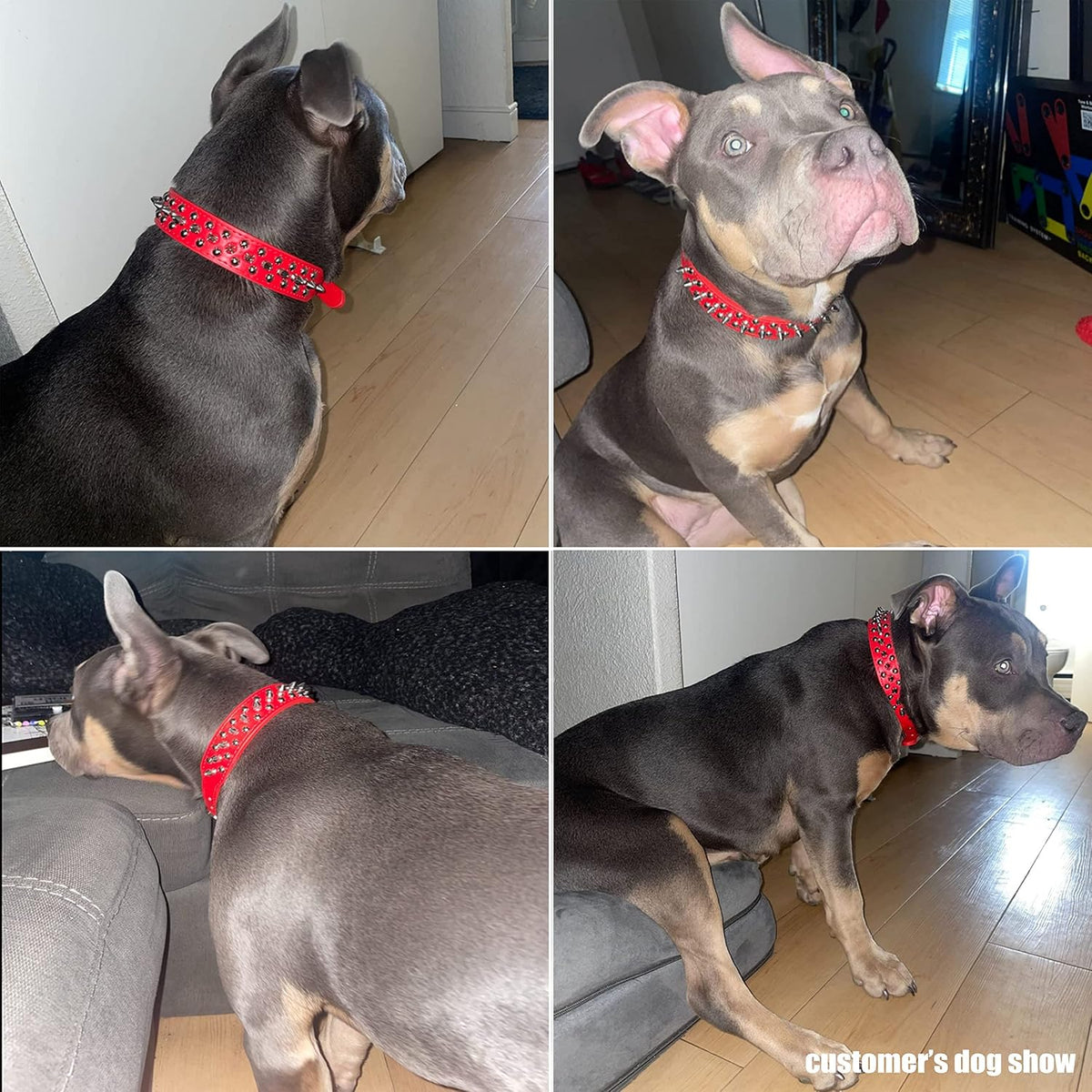 Adjustable Microfiber Leather Spiked Studded Dog Collars with a Squeak Ball Gift for Small Medium Large Pets like Cats/Pit Bull/Bulldog/Pugs/Husky, Red, L(15"-18.5")
