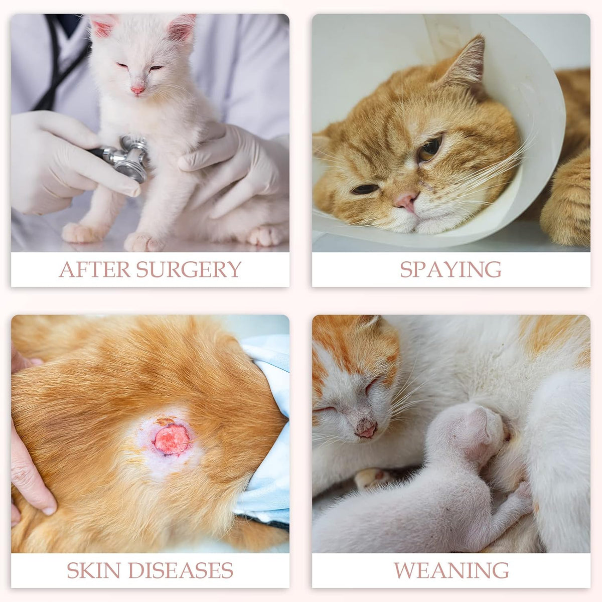 Breathable Cat Recovery Suit – 2 Pack