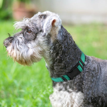 Reflective Dog Collar, Adjustable Neoprene Padded, Teal M