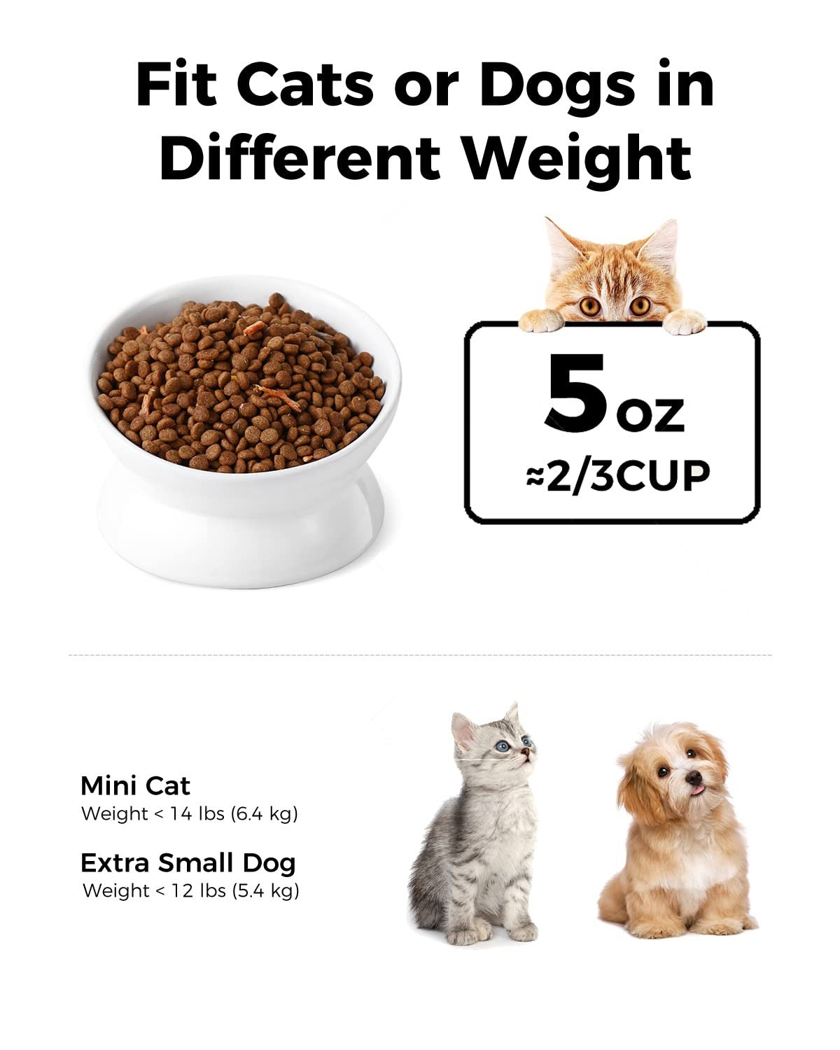 Elevated Cat Food Bowl, 5 Oz Ceramic Raised and Tilted Water Bowl