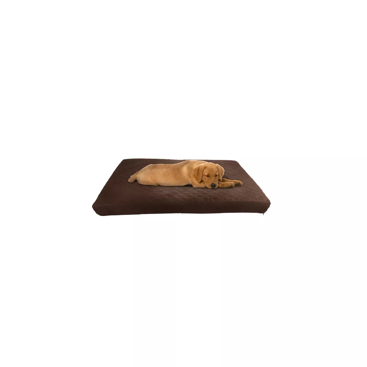 Waterproof Dog Bed – 2-Layer Memory Foam Dog Bed with Removable Machine Washable Cover – 36X27 Dog Bed for Large Dogs up to 75Lbs by PETMAKER (Brown)