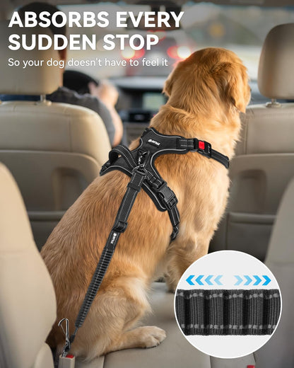3-In-1 Bungee Dog Seat Belt for Car, Medium and Large Dogs, Black
