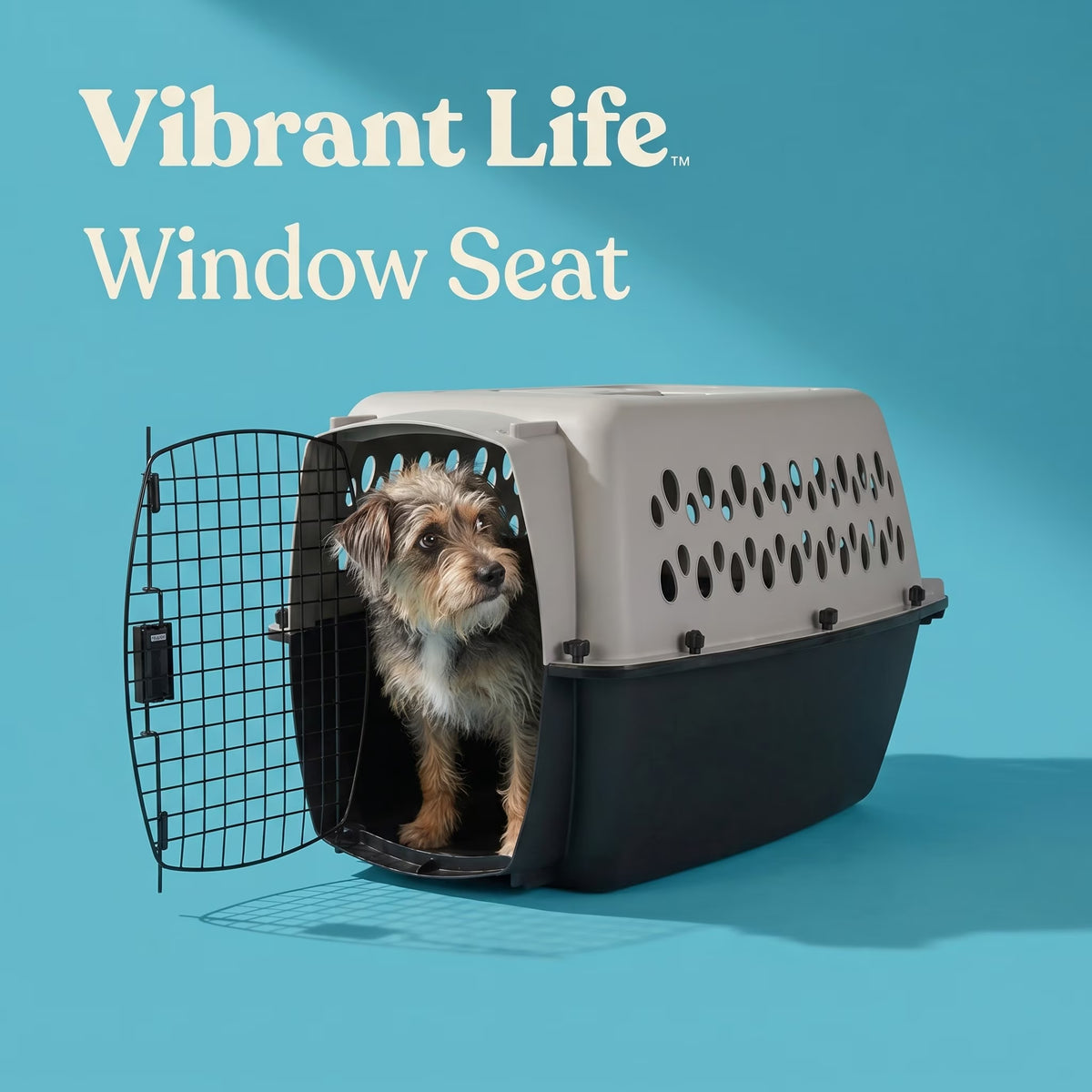 Small Plastic Hard-Sided Pet Carrier, Black and Gray, 15 Lb Limit