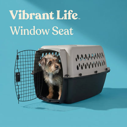 Small Plastic Hard-Sided Pet Carrier, Black and Gray, 15 Lb Limit