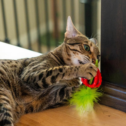 Dental Strawberry Teether Cat Chew Toy with Catnip, 4"