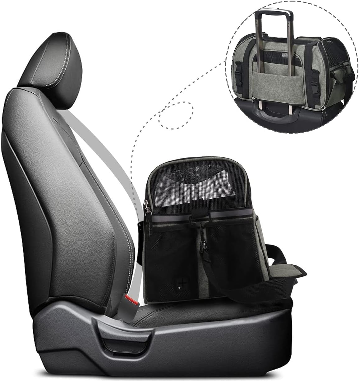 Soft-Sided Airline-Approved Dog & Cat Carrier Travel Bag