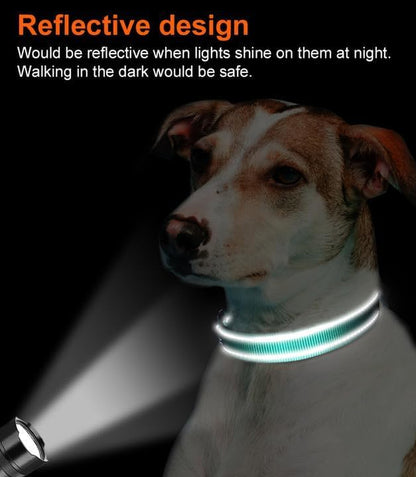 Reflective Dog Collar, Adjustable Neoprene Padded, Teal M