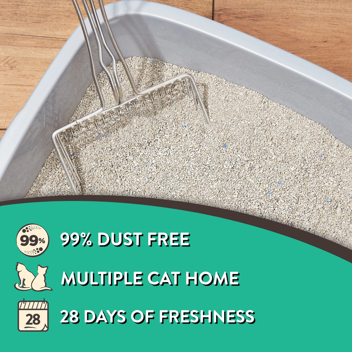 (2 Pack)  Tight Clumping Clay Cat Litter, Fresh Scent, 20 Lb Jug, 1 Count