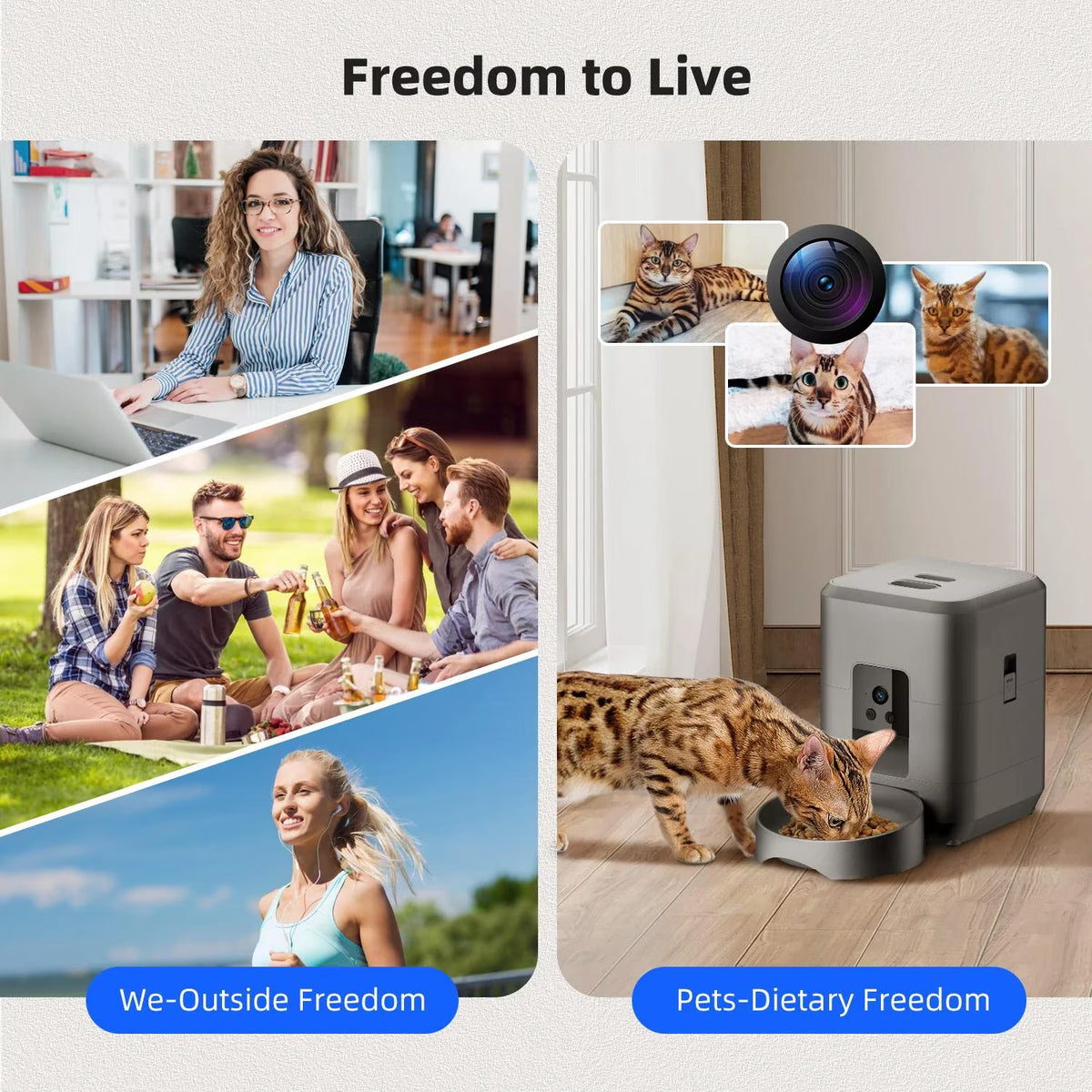 2L with Video Automatic Cat Feeder, Intelligent Timed and Quantitative Feeding, Cat, Dog and Pet Feeding Bowl Controlled by APP